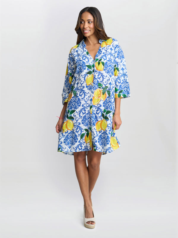 Lexee Shirt Dress