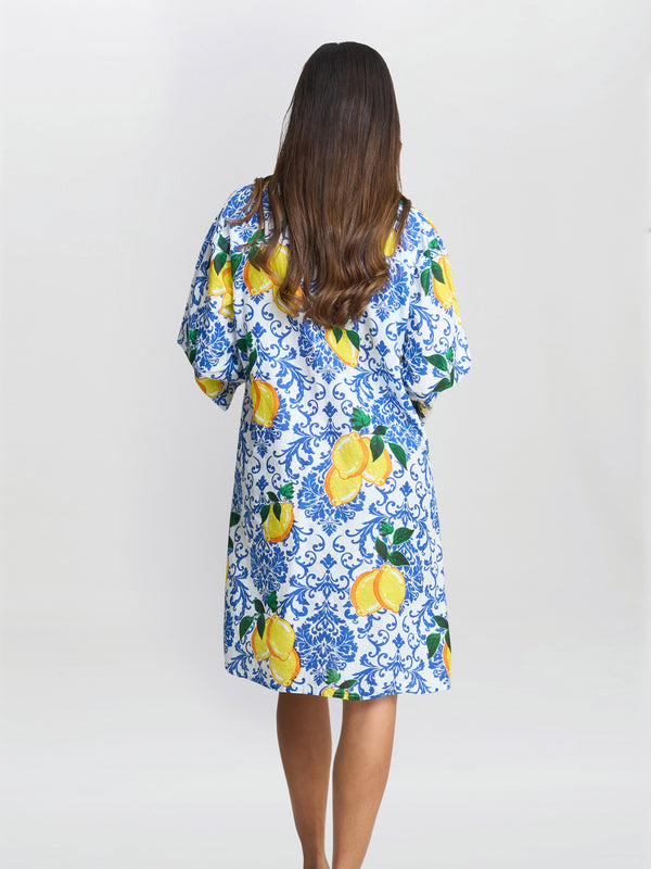 Lexee Shirt Dress