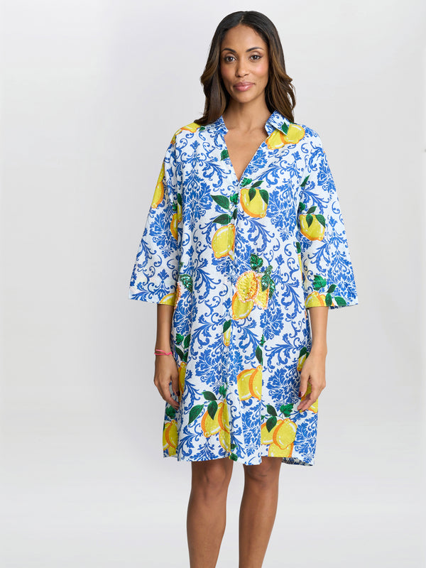Lexee Shirt Dress