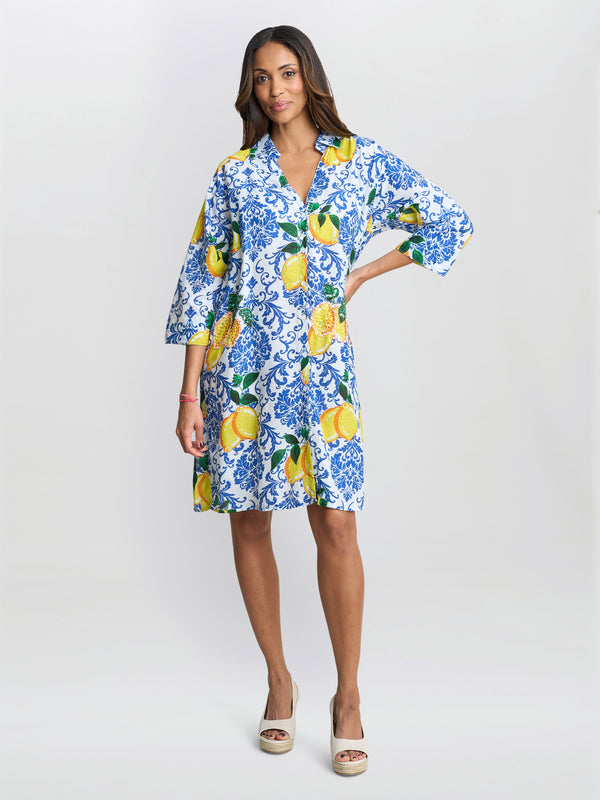 Lexee Shirt Dress