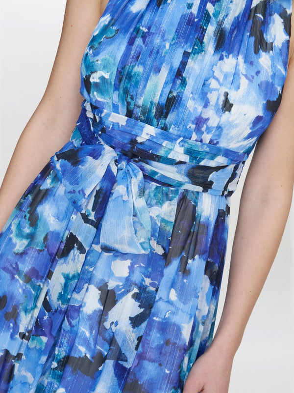 Maria Maxi Printed Sleeveless Dress