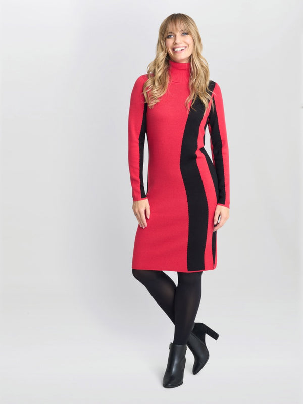 Hally Roll Neck Knitted Dress