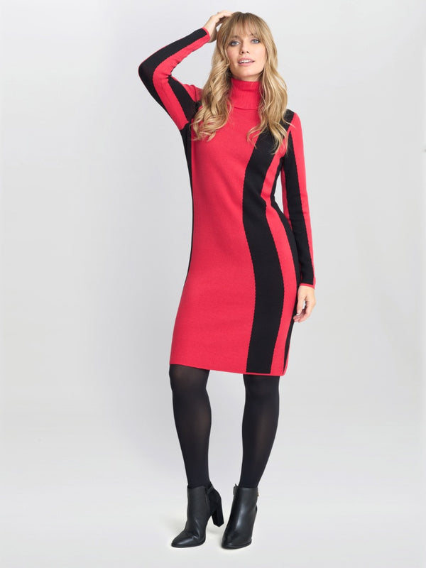 Hally Roll Neck Knitted Dress